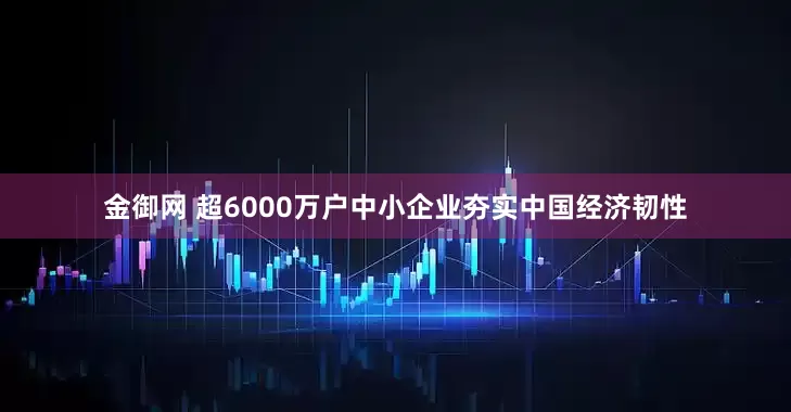 金御网 超6000万户中小企业夯实中国经济韧性