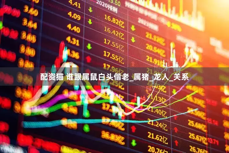 配资猫 谁跟属鼠白头偕老_属猪_龙人_关系